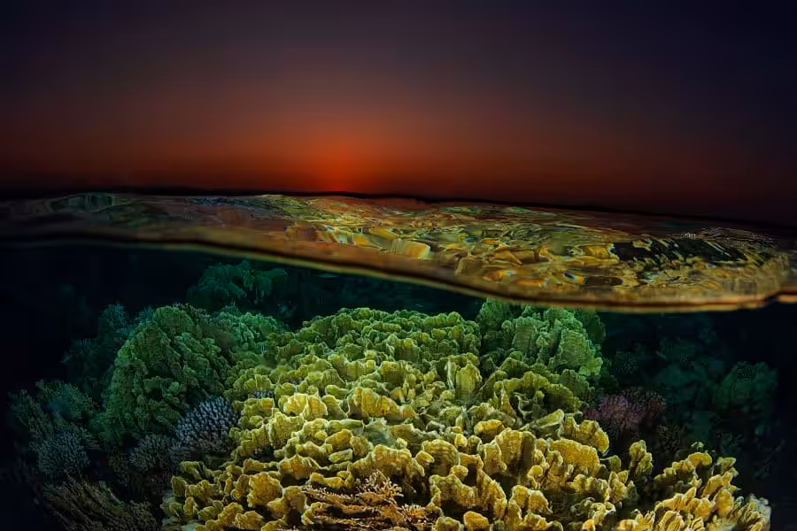 1er Place Grand Angle Luc Rooman