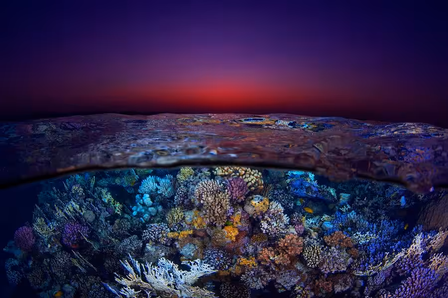 1er Place Portfolio7 Luc Rooman