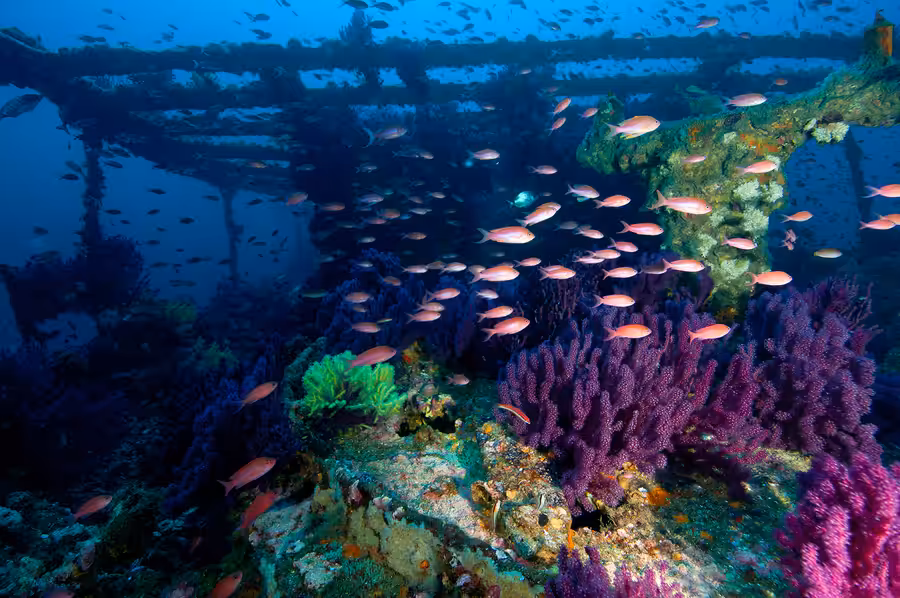 Dominique Barray Le Grec Ambiance D3012