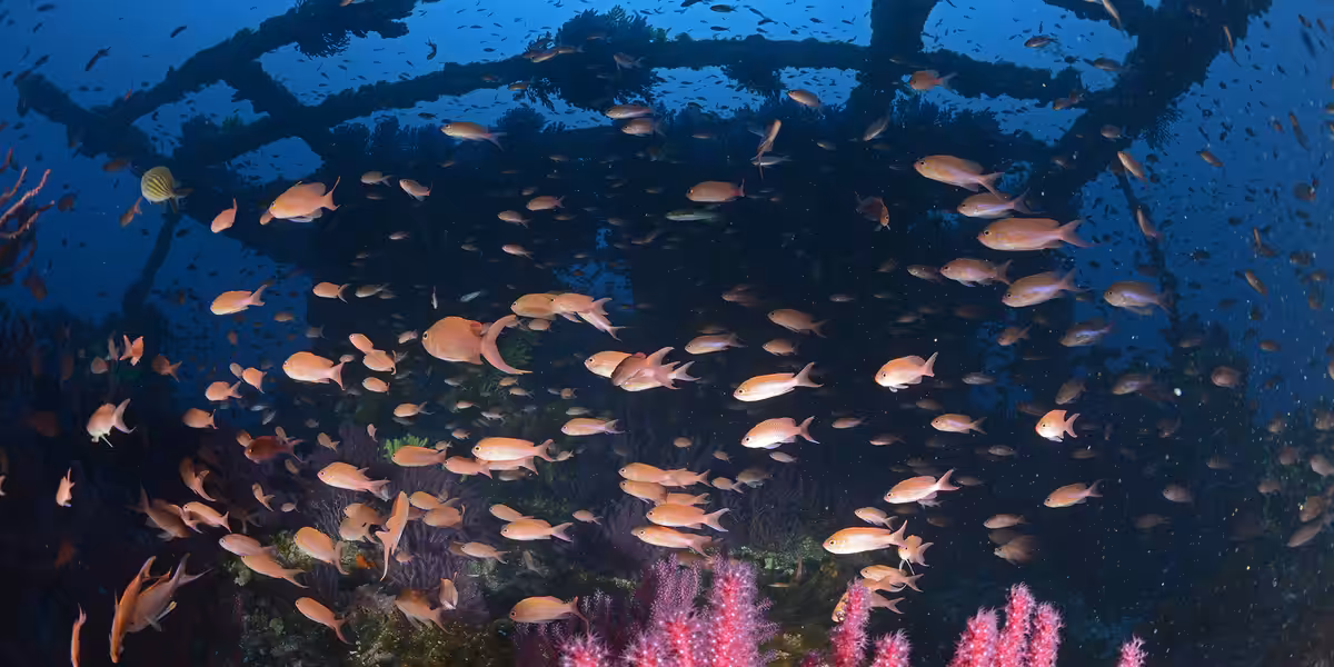 Sur l'épave du Grec.