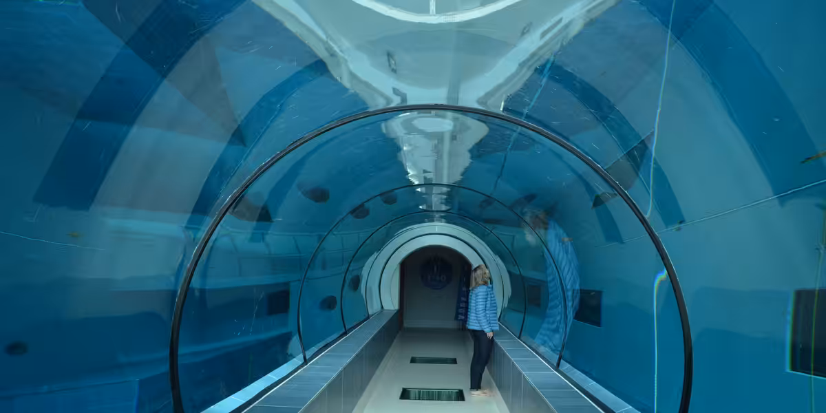 La fosse Y-40 Deep Joy