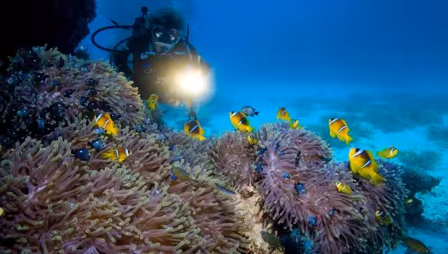 Phoca Thumb L Mg 4727 640x364