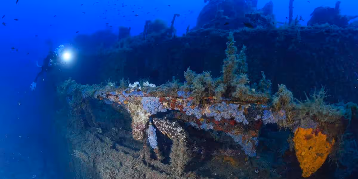 Épave de l'Alcyon C en Corse