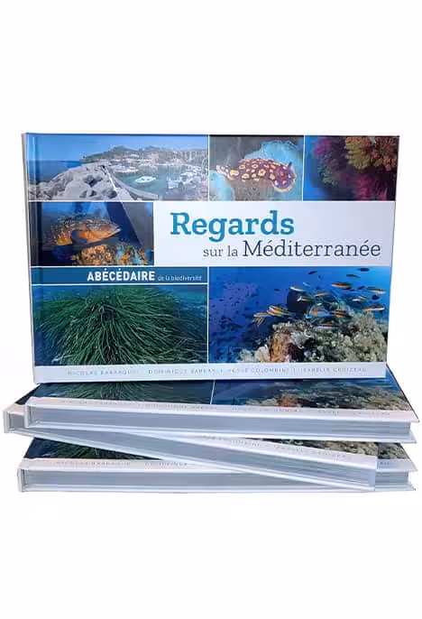 Plongez dans la biodiversité méditerranéenne avec cet abécédaire illustré, une invitation au voyage sous-marin.