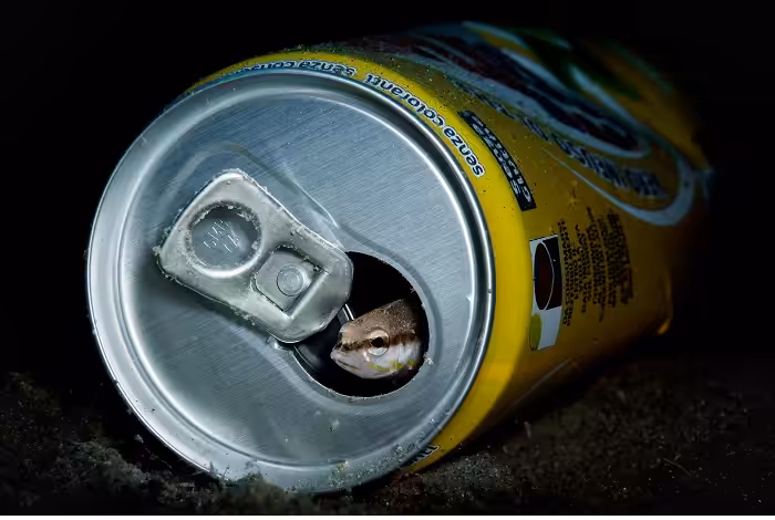 Lorenzo Terraneo 2eme Prix Pollution