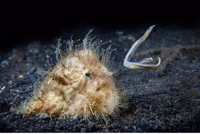 Simon Deblock 3eme Prix Série Expert