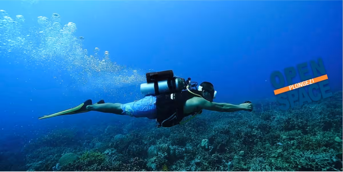 Plongée sous-marine explorant les merveilles des récifs coralliens et de la vie marine.