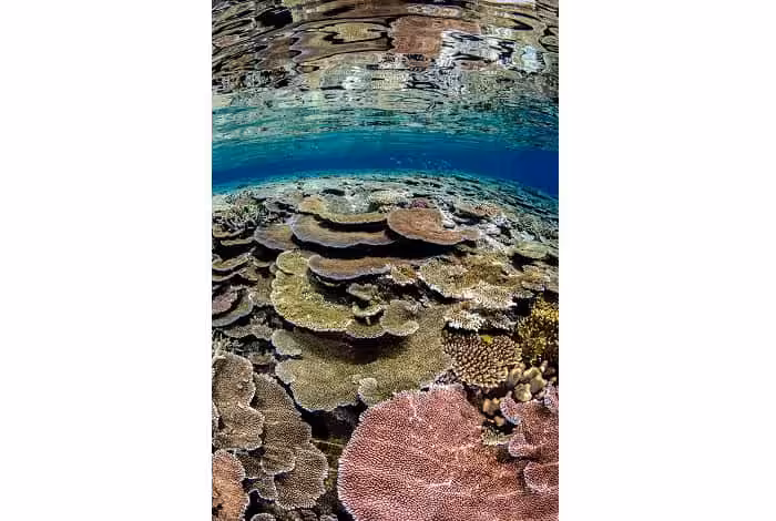 Hm1 wide angle matt curnock