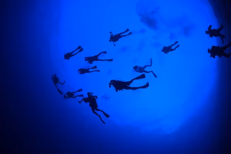 Nicolas barraque egypte novembre 2018 plongeurs dsc 4013