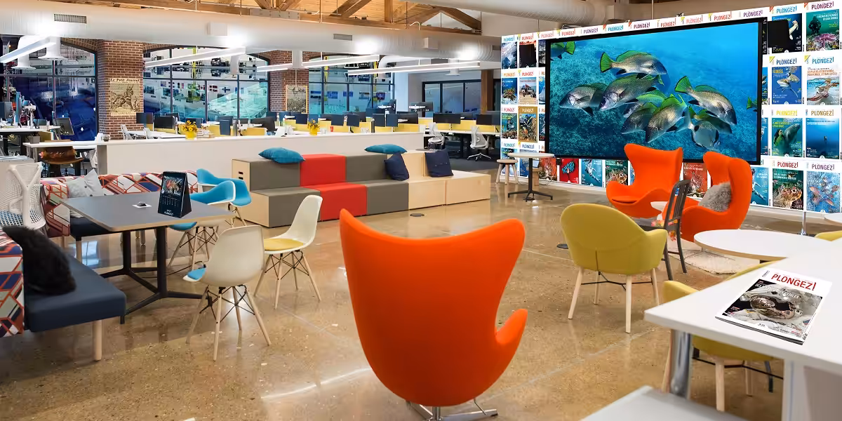 Espace de travail moderne avec décor sous-marin et ambiance inspirante pour les passionnés de plongée.