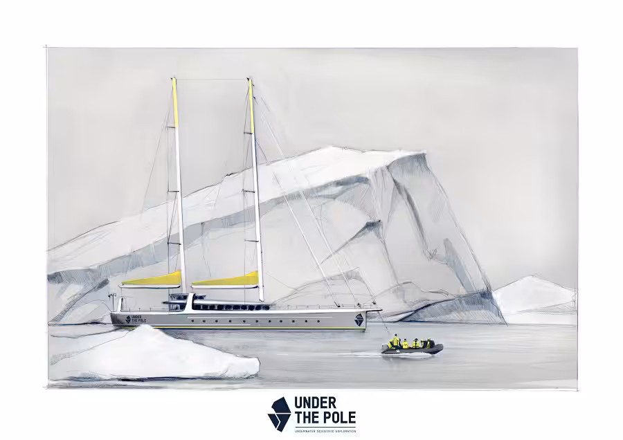 Under the pole why not 2