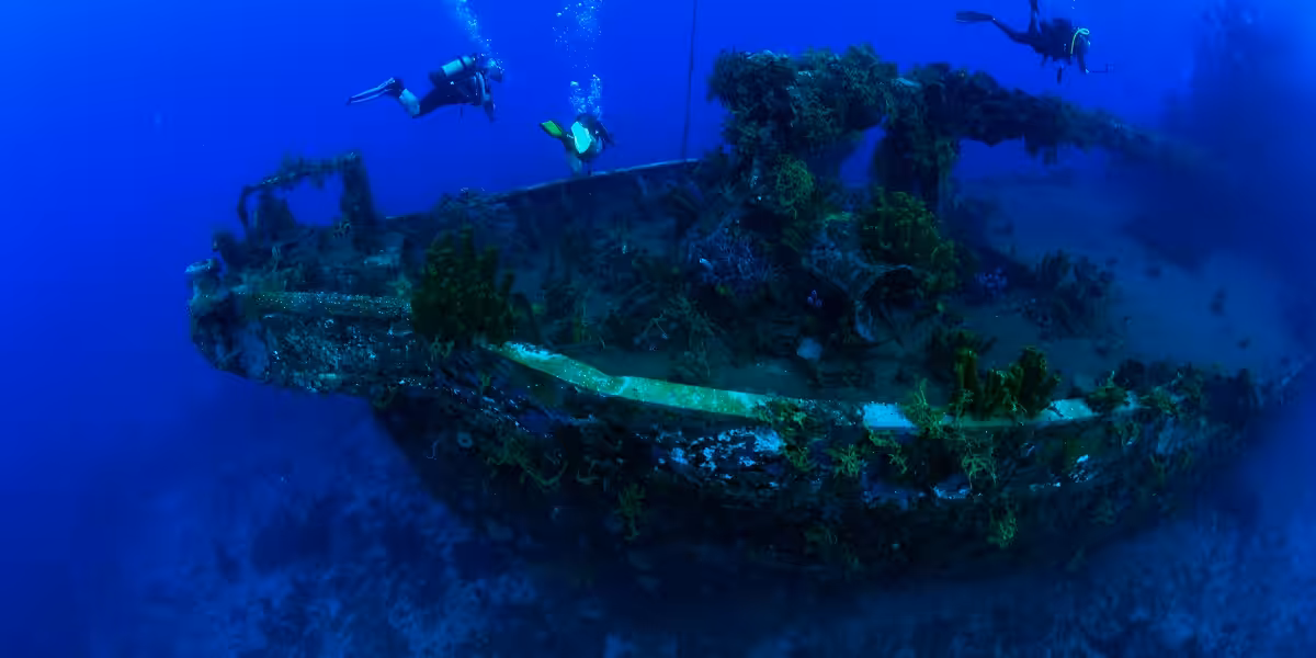 Plongée sous-marine près d'une épave, riche en coraux et vie marine.
