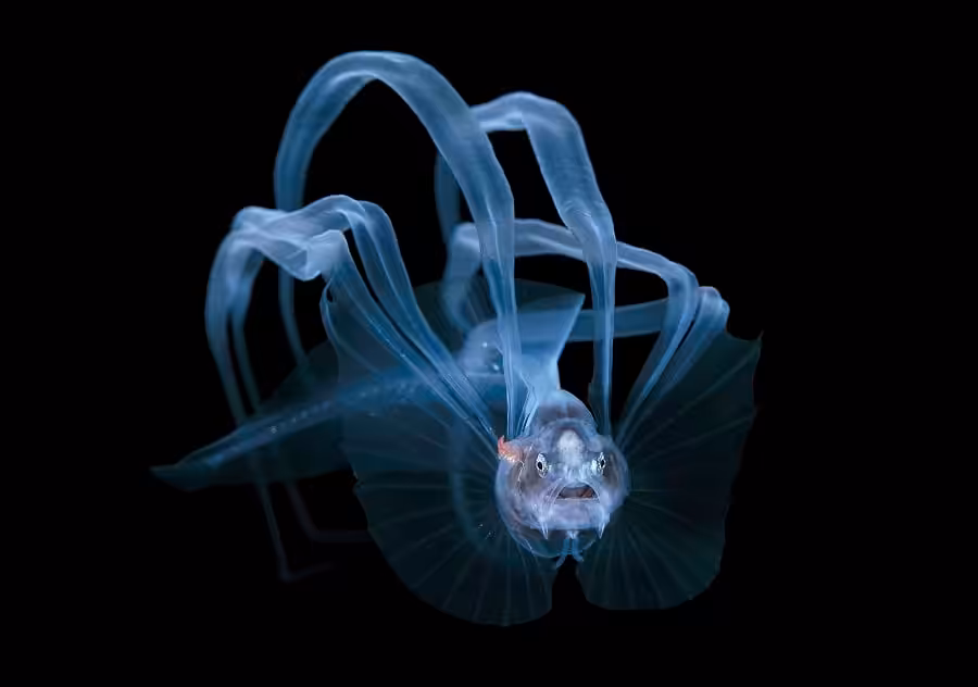 2. second steve kovacs c