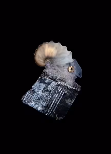 3. third steven kovacs a c