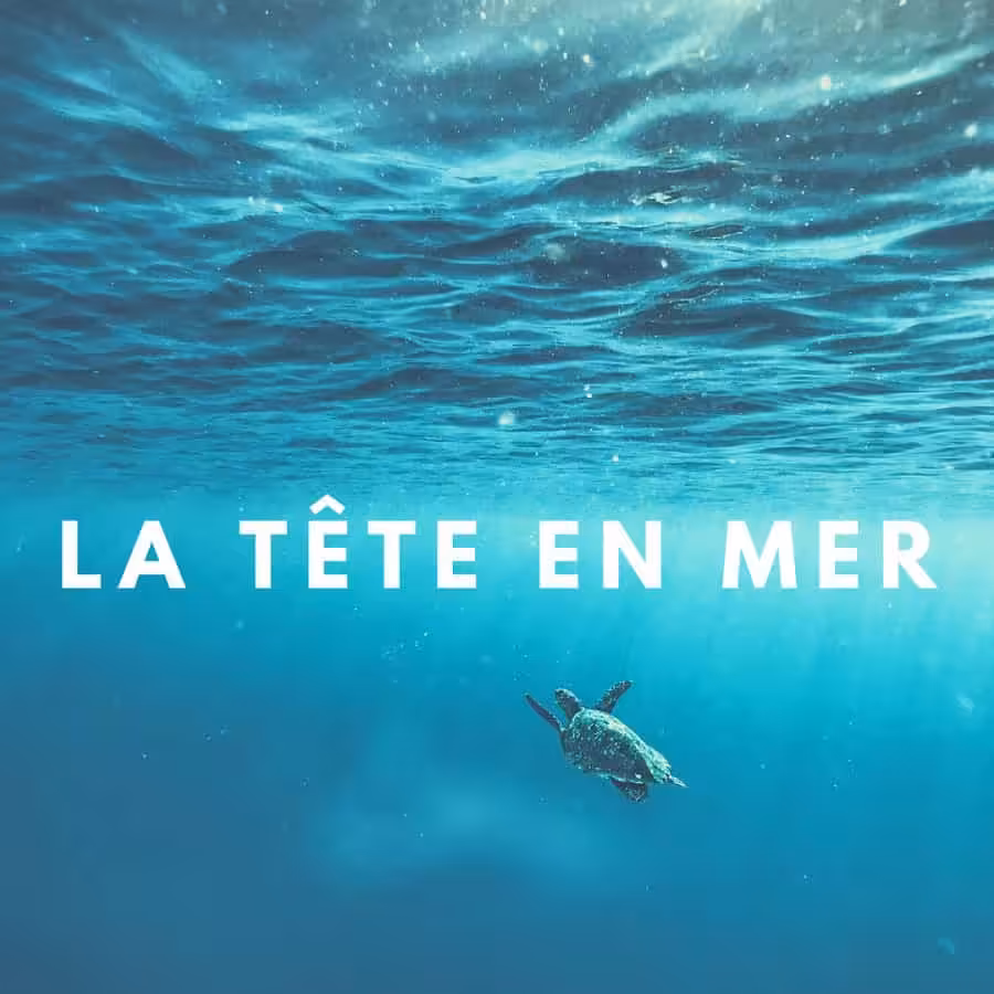 5 20210806 185644 0004