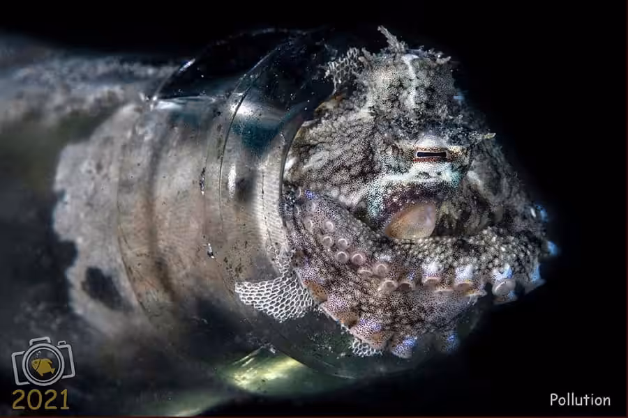 1er Prix Impact Humain. © Franco Tulli