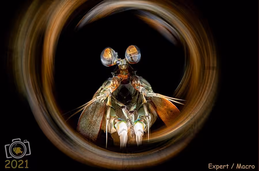 2ème Prix Macro Expert. © André Moyo