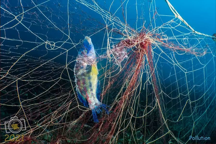 3ème Prix Impact Humain. © Michele Solca