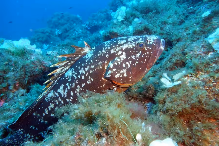 2ème Prix Ambiance Espoir. © Jean François Leblanc