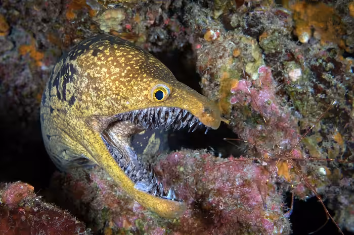 Porfolio Lespagne Claude 05