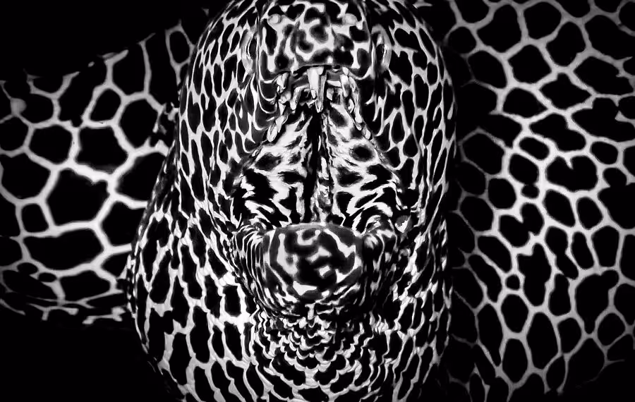 Photo Imprimee Faure Marie 900x570