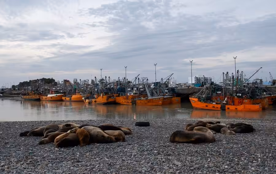 Thirdplace Coastalcommunities Celia Kujala United States 900x570