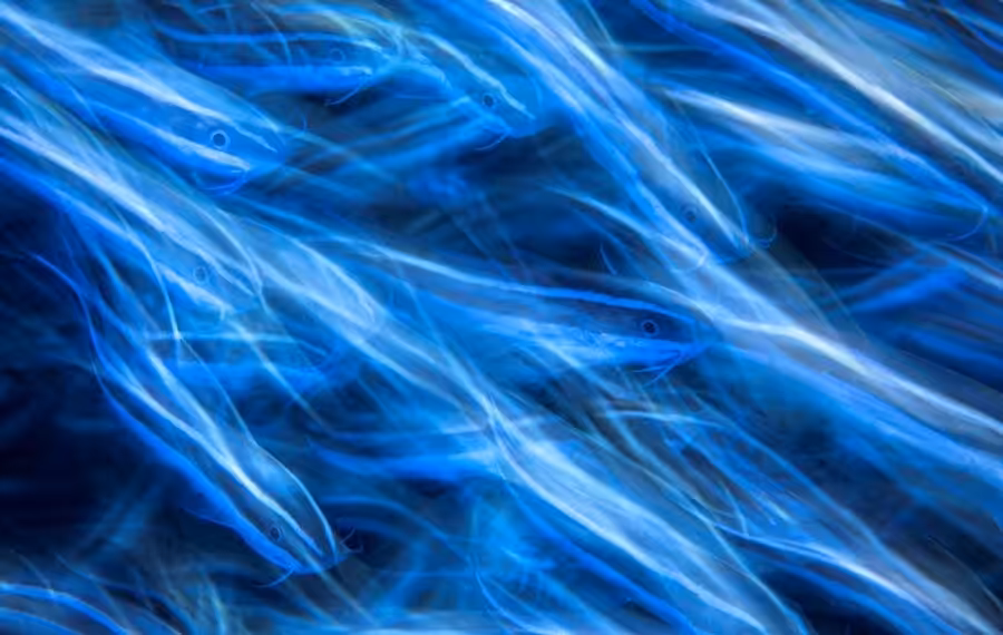 02 Gabriel Barathieu Mayotte 47752 900x570