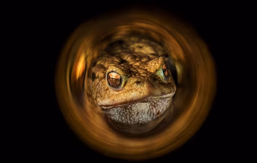 02 Peter Schultess Ps8 23082 900x570