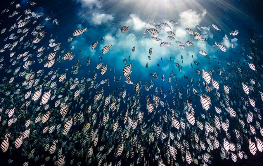 08 Fabien Michenet2 900x570