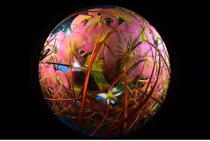 2 Jean Raphael Tordoir 3th 2574 Prix Gravie╠cre Du Fort