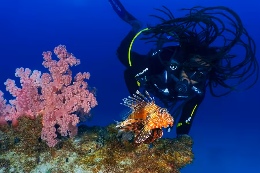 2nd Wide Angle Stephane Robert