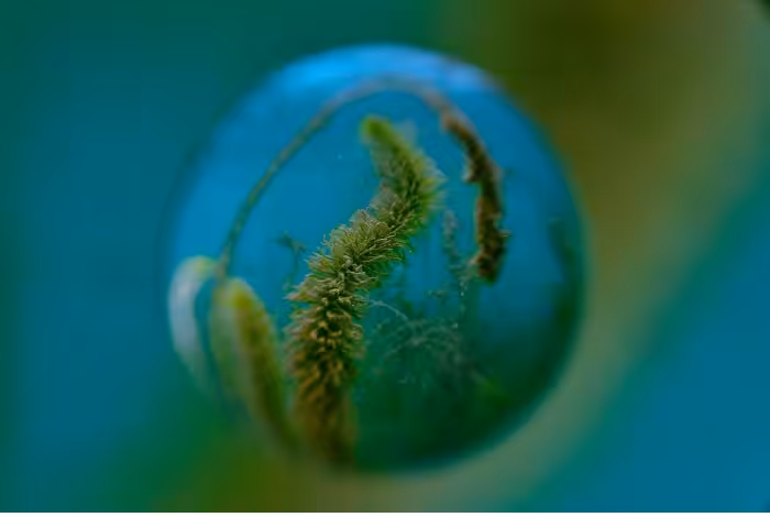 09 A1x Didier Degreze