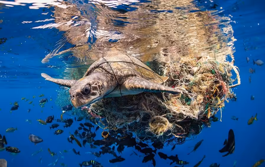 1 Simon Lorenz C 900x570