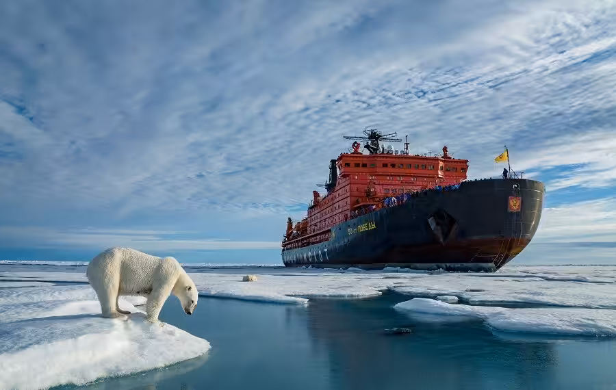 Dmitry Kokh C 900x570