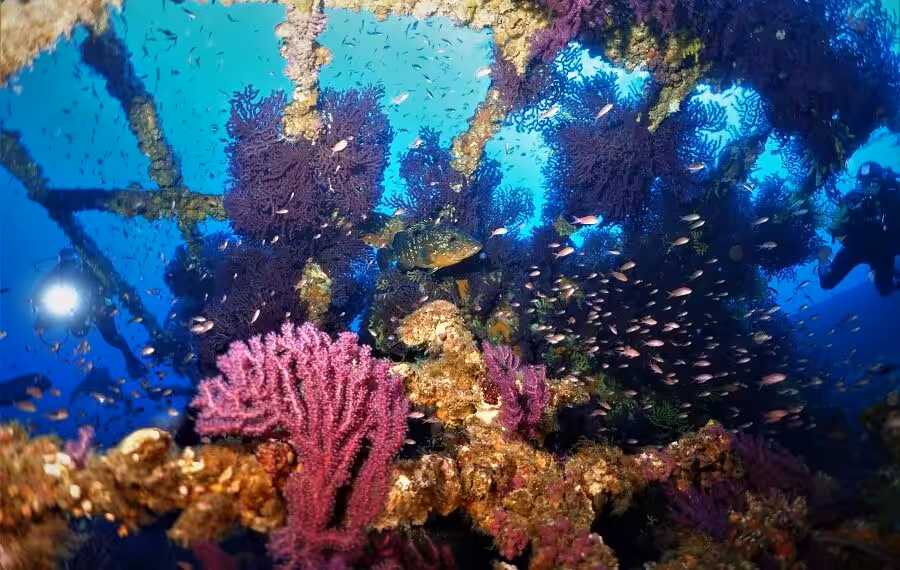 3eme Prix Ambiance Espoircourtinpatricele Grec 900x570