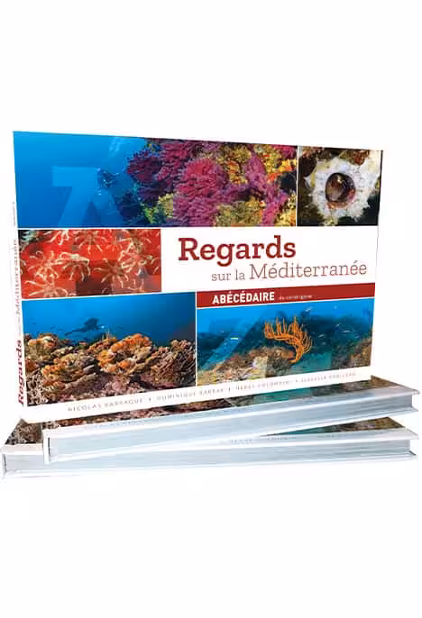 Explorez la biodiversité sous-marine fascinante de la Méditerranée à travers cet abécédaire richement illustré. #Plongée