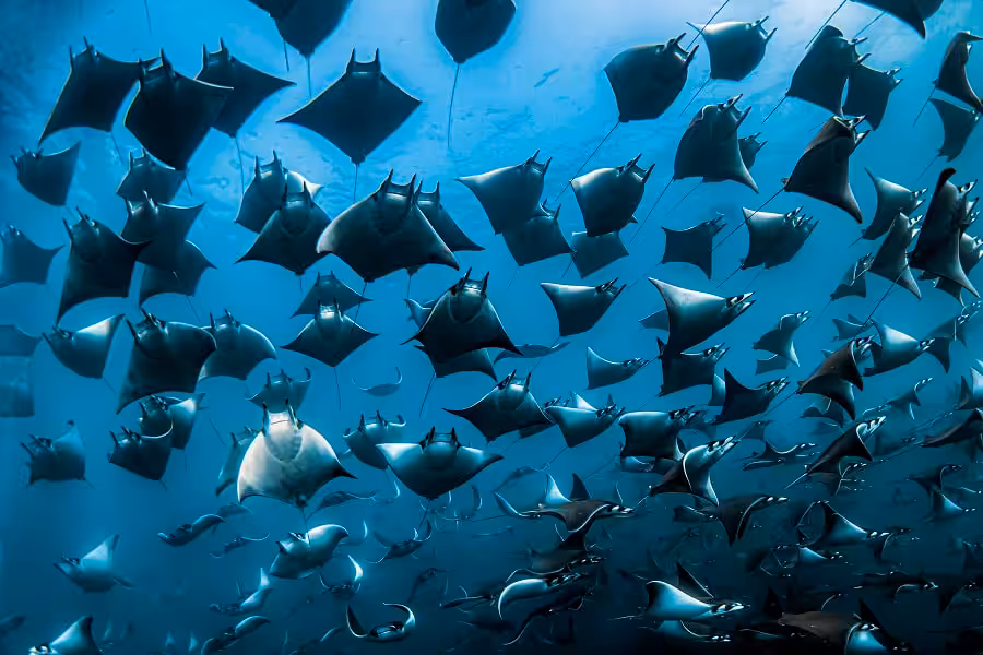 103rafaelfernandezcaballero