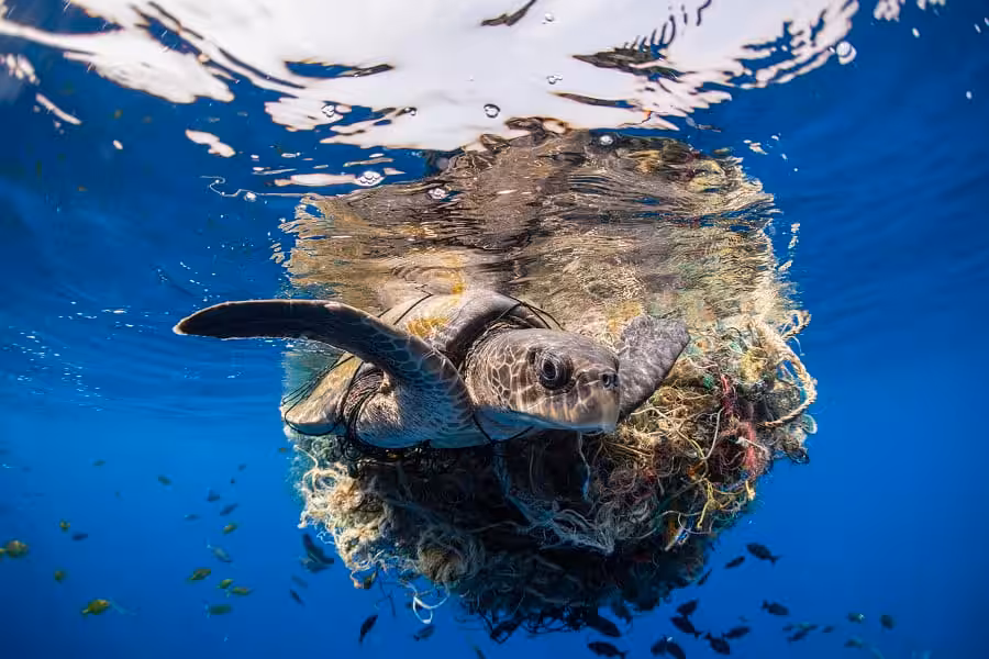 Wod2023 Photo Competition No Time To Waste 2nd Place Simon Lorenz 2 Of 3