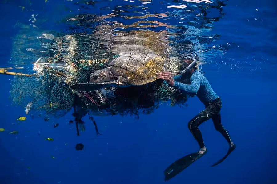 Wod2023 Photo Competition No Time To Waste 2nd Place Simon Lorenz 3 Of 3