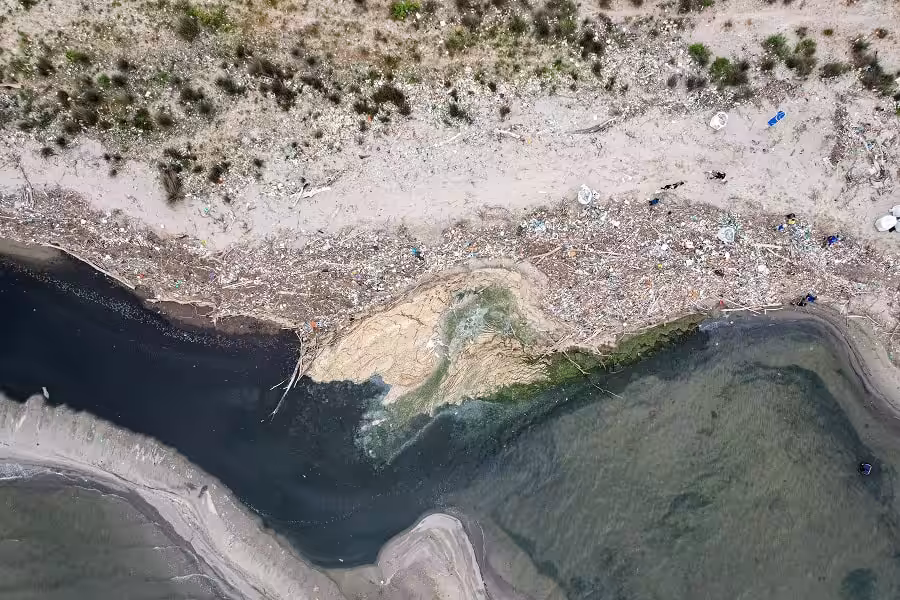 Wod2023 Photo Competition No Time To Waste 3rd Place Ines Goovaerts 1 Of 3