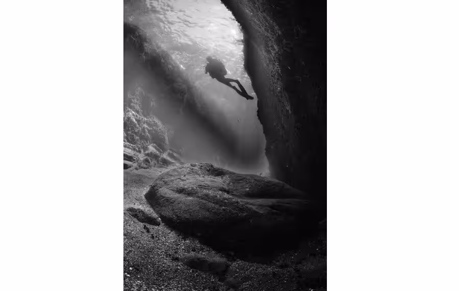 06 Vasselin 03 3th 2760 Px Special Jury 900x570