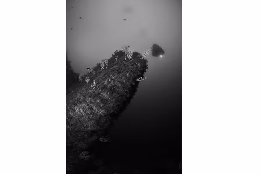 11 Fourcade 14 3th 0038