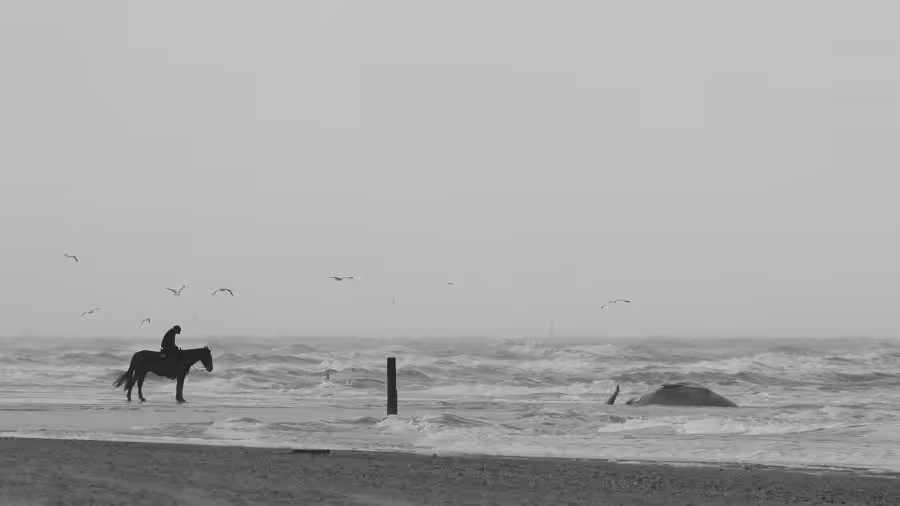 Jeroen Hoekendijk C 2(1)