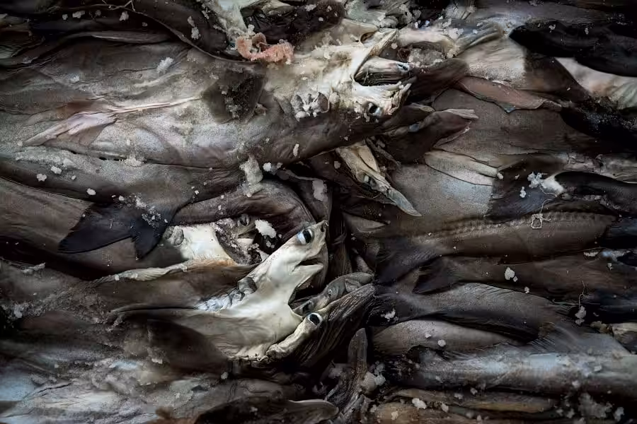 Sirachai Arunrugstichai 2 C(1)