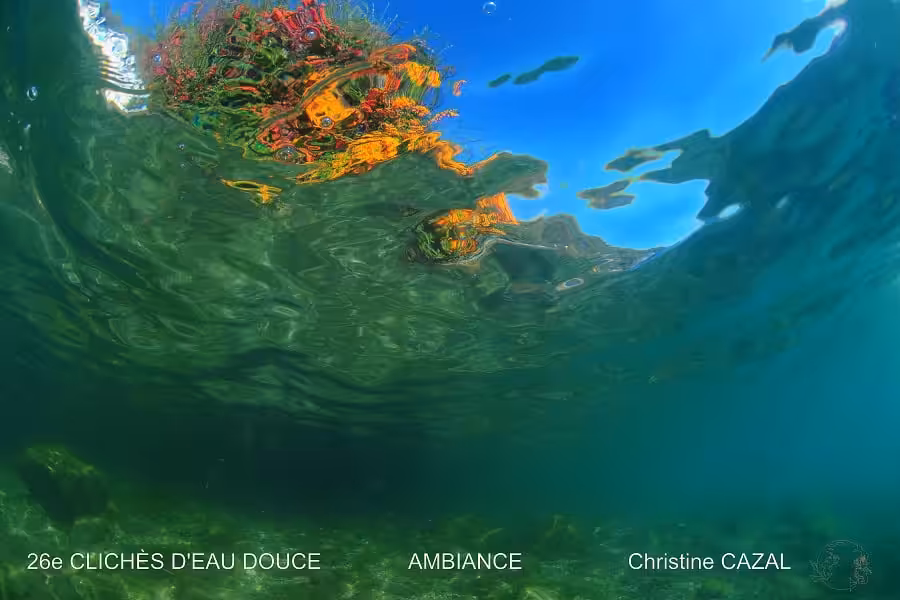 Christine Cazal Ambiance