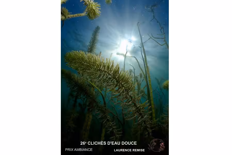 L Remise Prix Ambiance