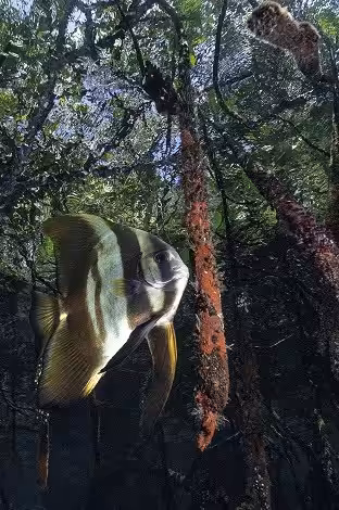 48 Coup De Coeur Jury Ambiance Baelen Francois