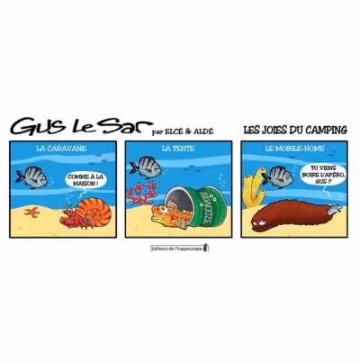 Dans cette bande dessinée humoristique, des poissons explorent le camping sous-marin avec créativité et esprit d'aventure.
