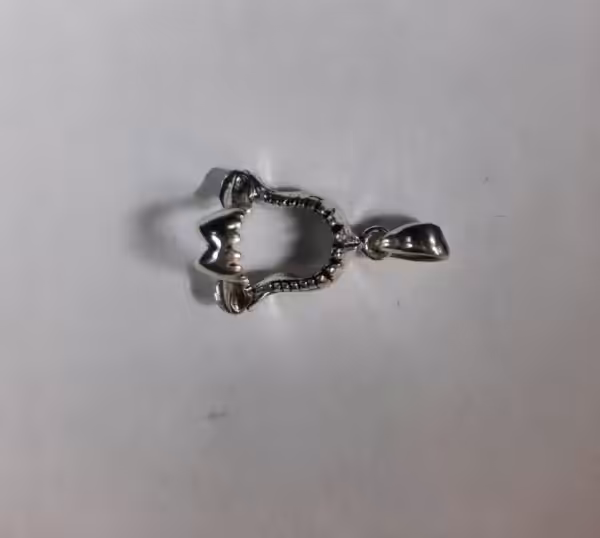 Un pendentif en forme de mâchoire de requin évoque l'aventure sous-marine et la fascination pour l'océan. #Plongée