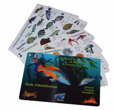 Guide d'identification de la vie sous-marine de l'Atlantique, poissons et crustacés.